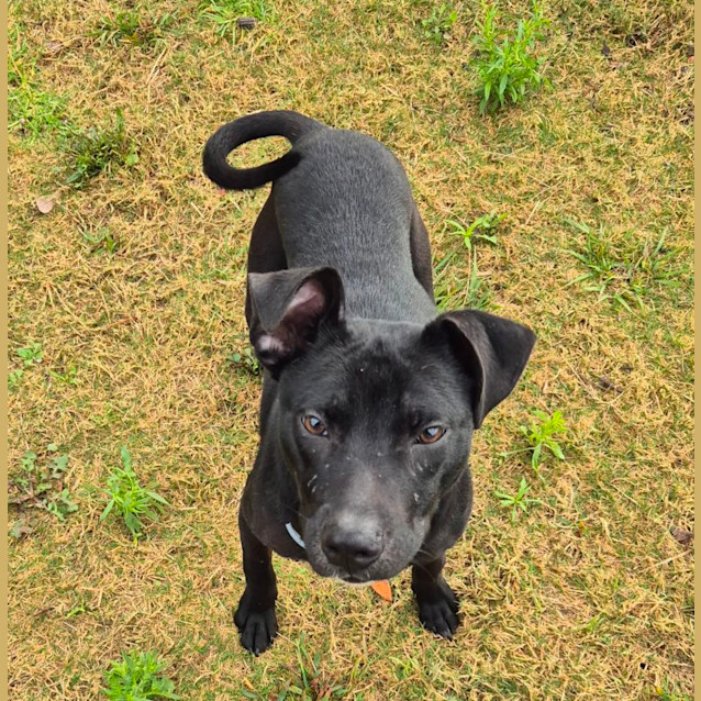 Photo of Derek (6530)