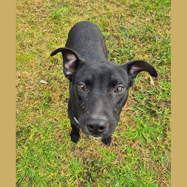 Photo of Derek (6530)