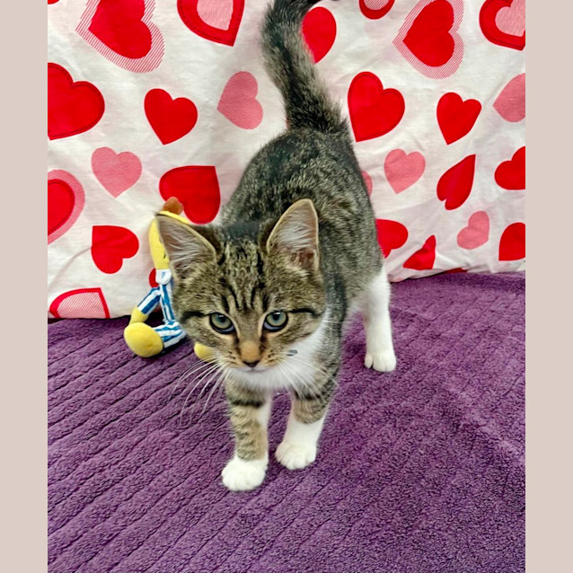 Photo of Gretchen (6547)