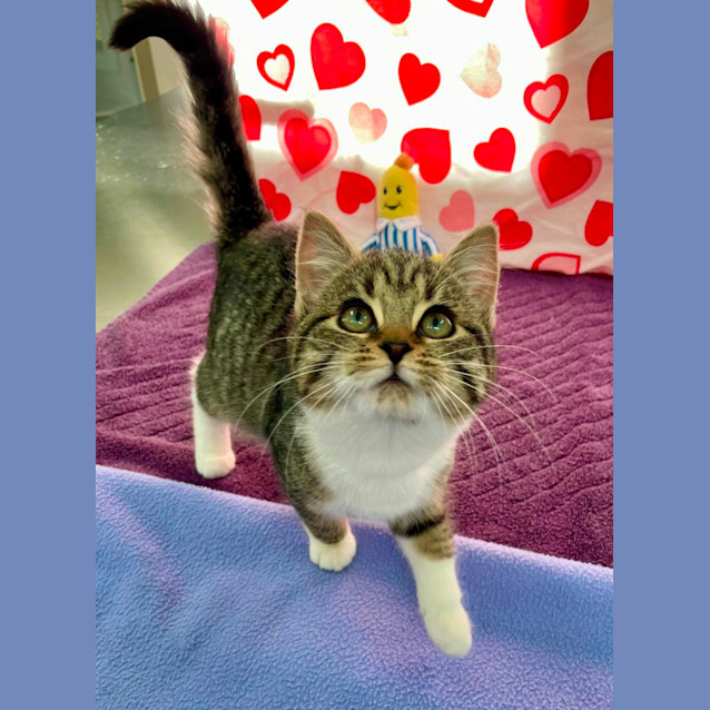 Photo of Gretchen (6547)