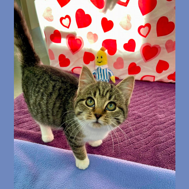 Photo of Gretchen (6547)