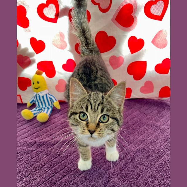 Photo of Gretchen (6547)