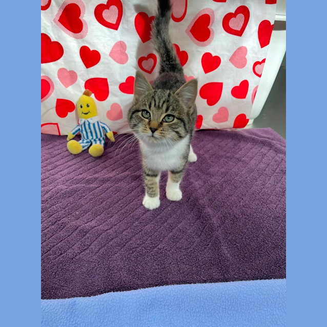 Photo of Gretchen (6547)