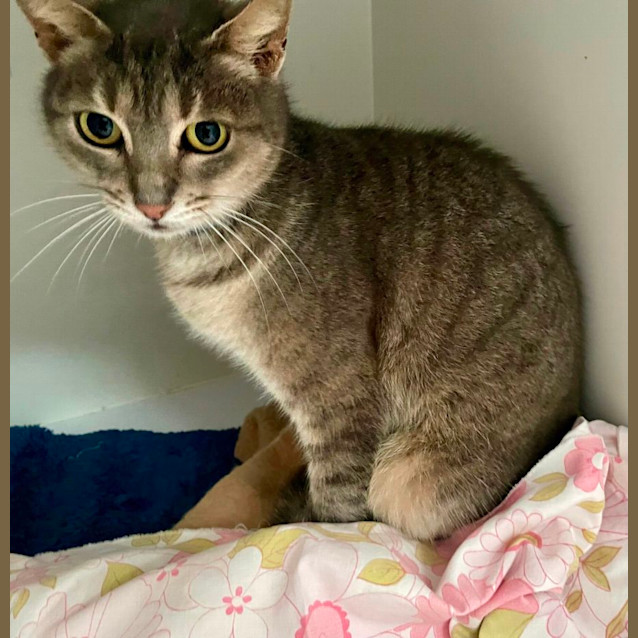 Photo of Molly (6549)