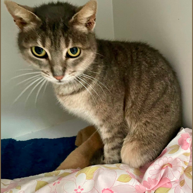 Photo of Molly (6549)