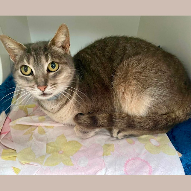 Photo of Molly (6549)