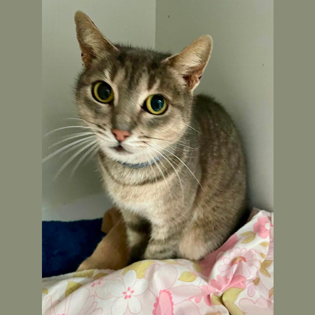 Photo of Molly (6549)