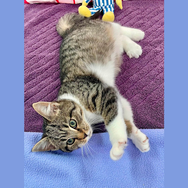 Photo of Greg (6539)