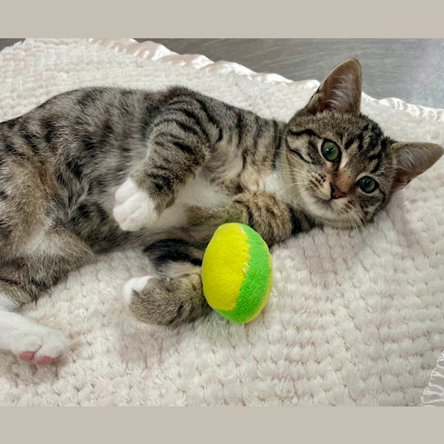 Photo of Greg (6539)