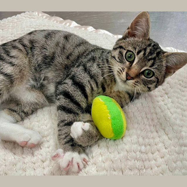 Photo of Greg (6539)