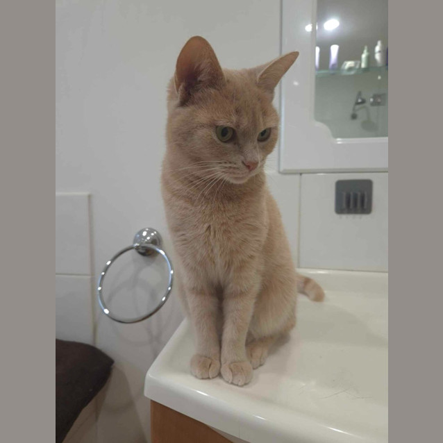 Photo of Mia