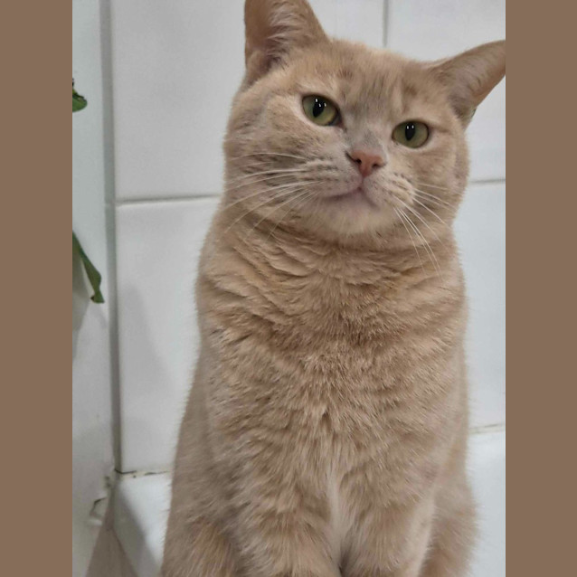 Photo of Mia