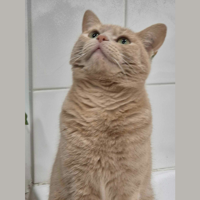 Photo of Mia