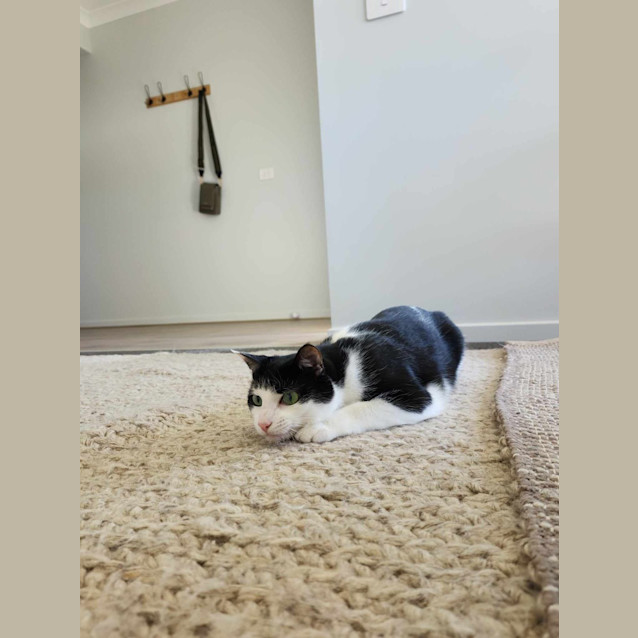 Photo of Beets / Moss