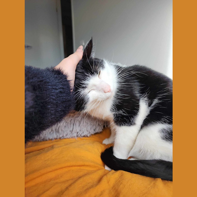 Photo of Beets / Moss