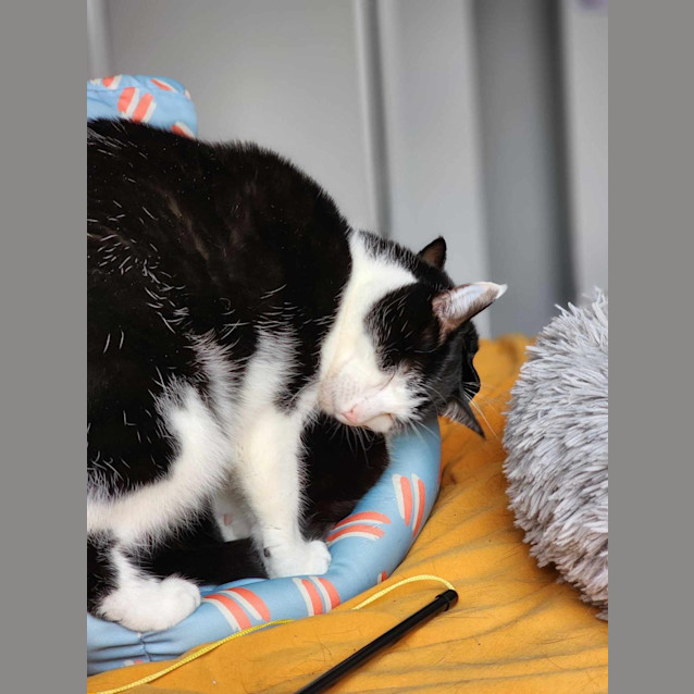 Photo of Beets / Moss