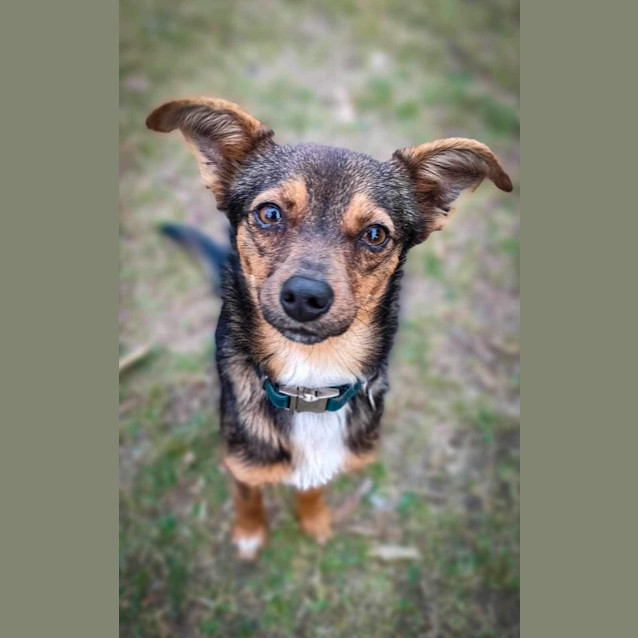 Photo of Roo