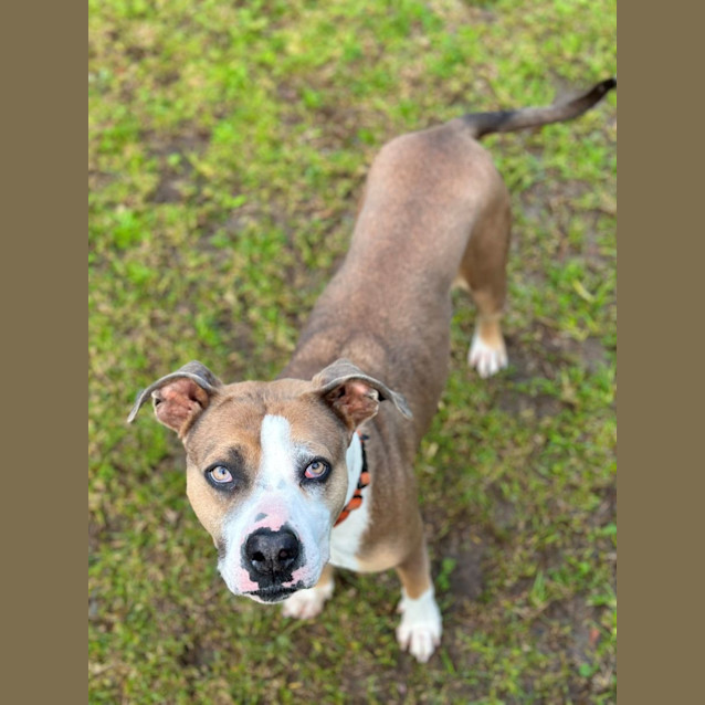 Photo of Narla