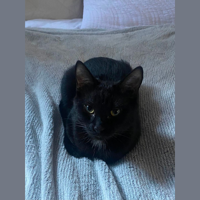 Photo of Sabrina