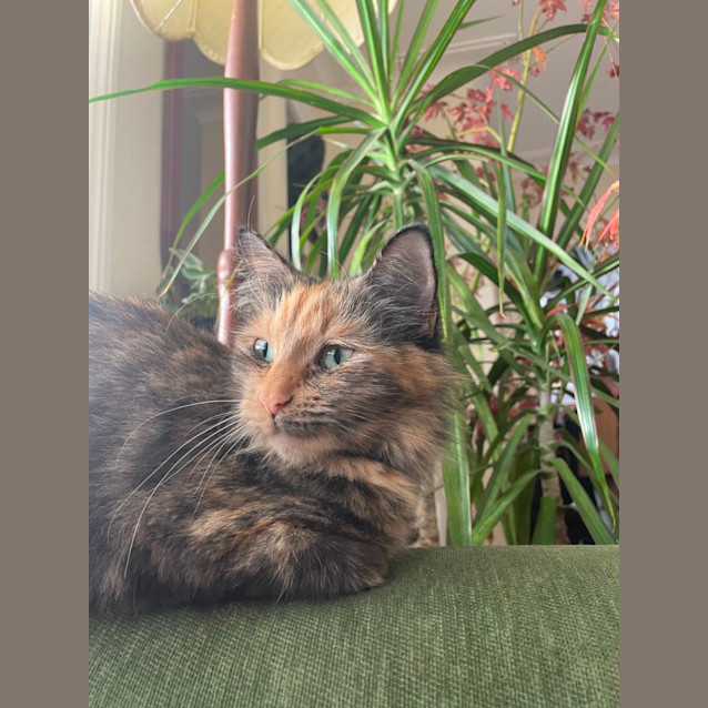 Photo of Carys