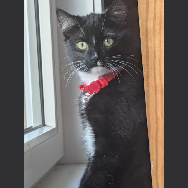 Photo of Violet 🌷