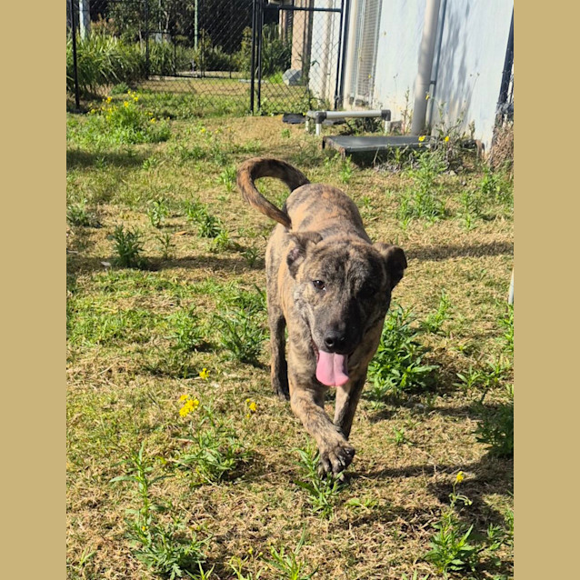 Photo of Wayne (6538)