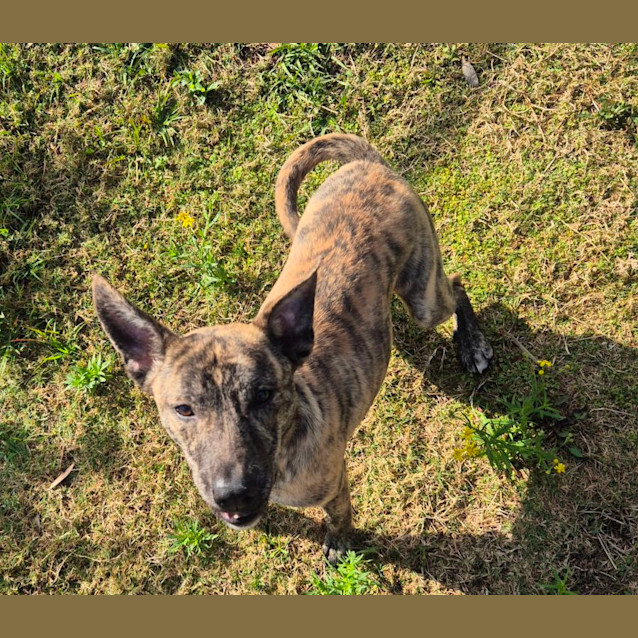 Photo of Wayne (6538)