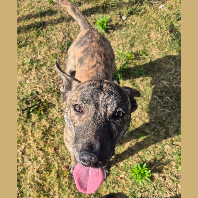 Photo of Wayne (6538)