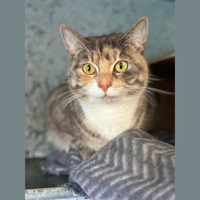 Photo of Willow