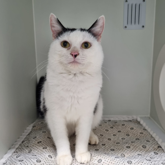 Photo of Moo