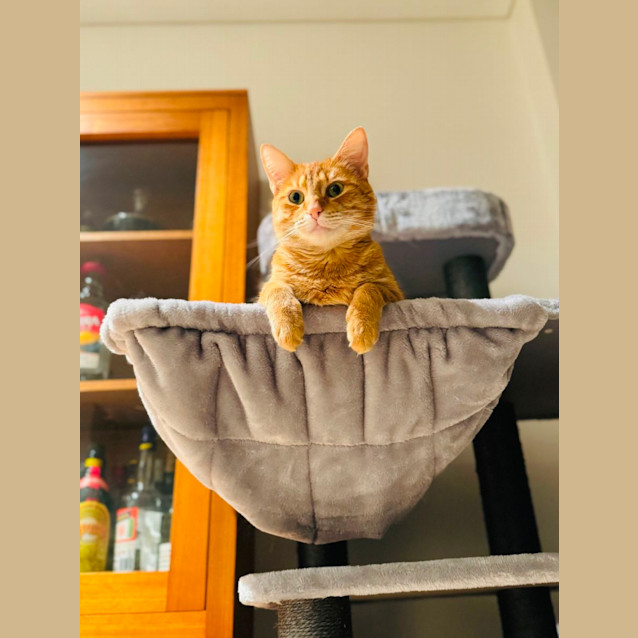 Photo of Ollie The Lover 💗💗💗