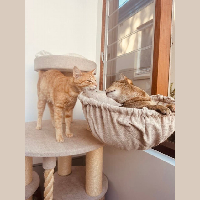 Photo of Ollie The Lover 💗💗💗