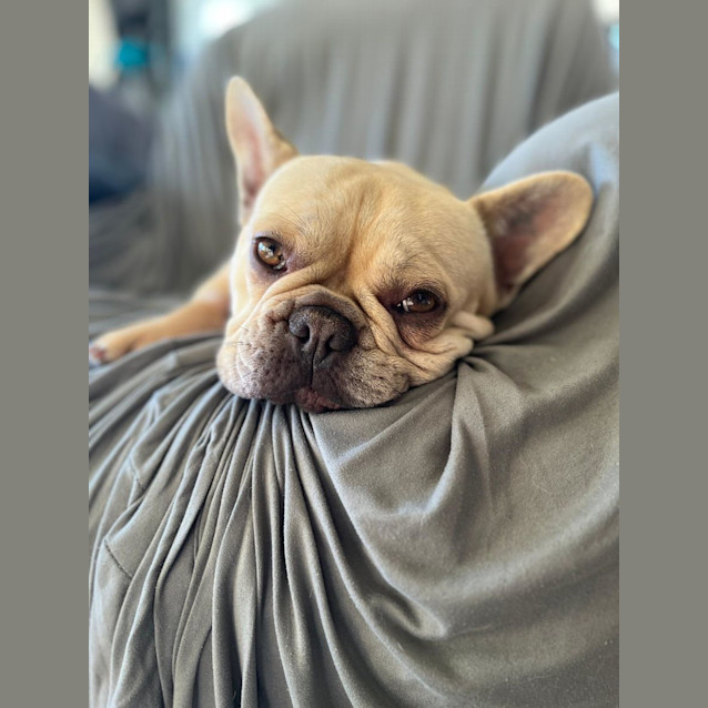 Photo of Crepe Suzette