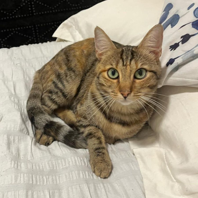 Photo of 10853   Flick