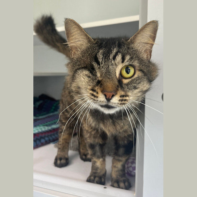 Photo of Oliver