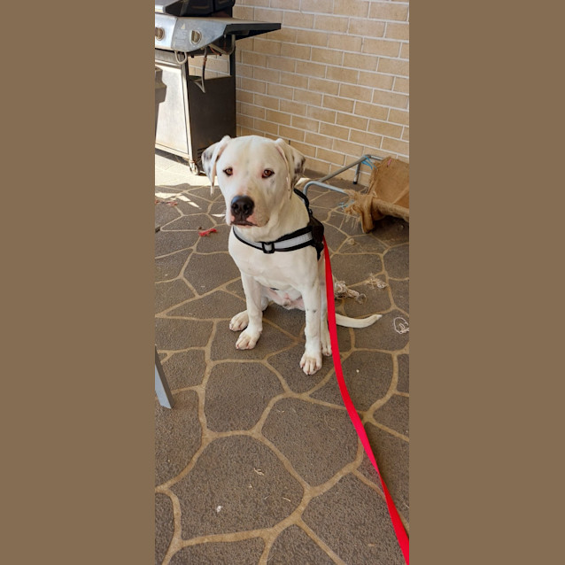 Photo of Max
