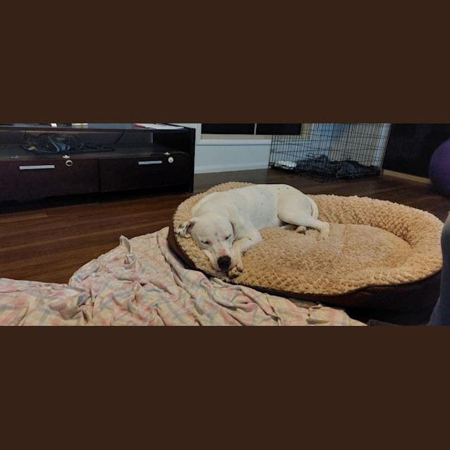 Photo of Max
