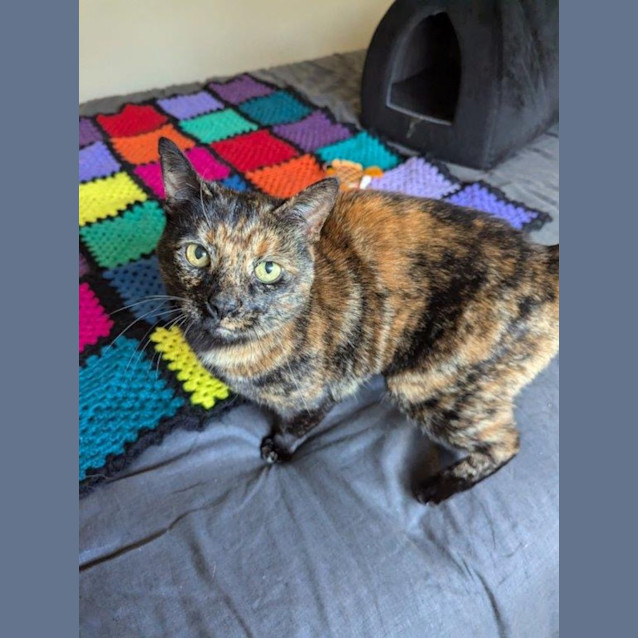 Photo of Smoky Wilberforce