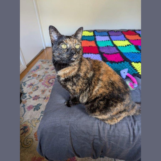 Photo of Smoky Wilberforce