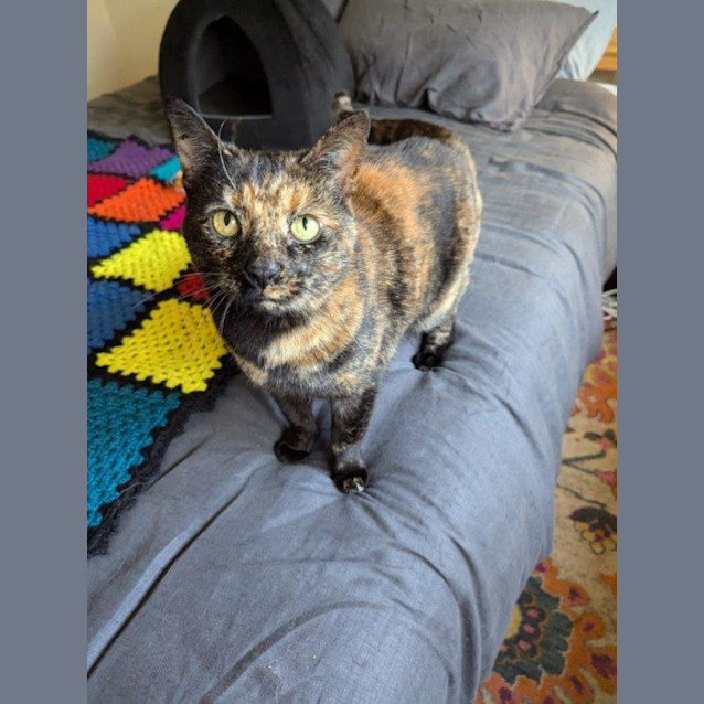 Photo of Smoky Wilberforce