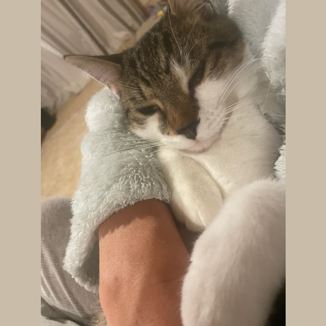 Photo of Teemo