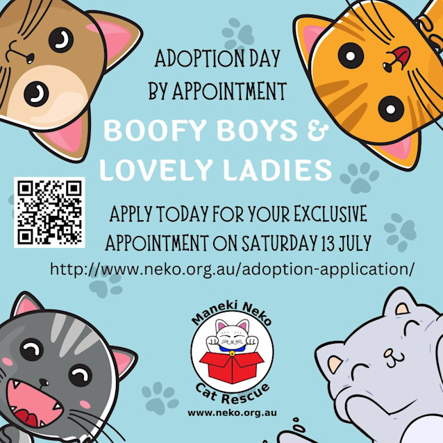 Photo of Portia   Located In Northcote