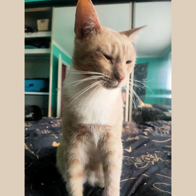 Photo of Amber