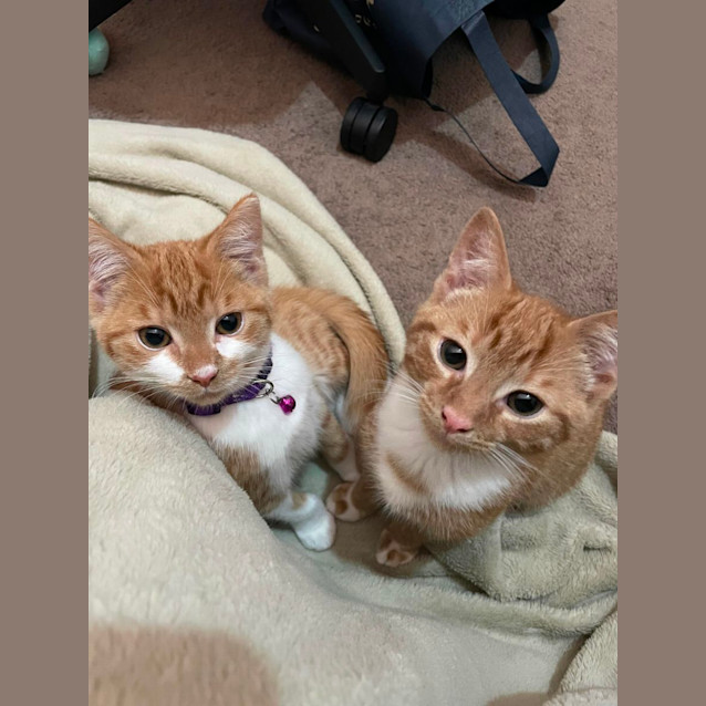 Photo of Momo & Tobiko