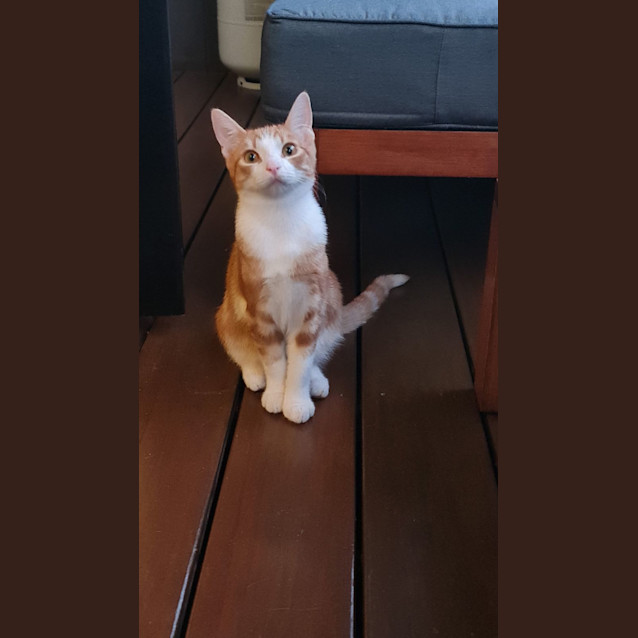 Photo of Jefrey