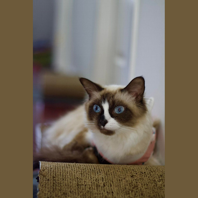 Photo of 🌻 Florence 🌻