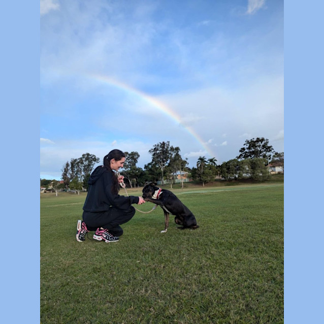 Photo of Dakota *$250 Adoption Fee*