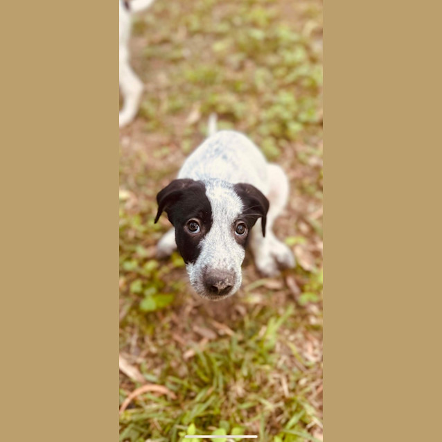 Photo of Mae