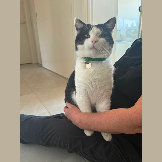 Photo of Sid 🩵💙