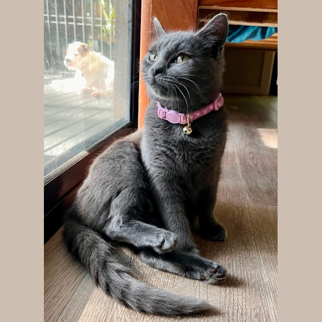 Photo of Penguin 💞🐧